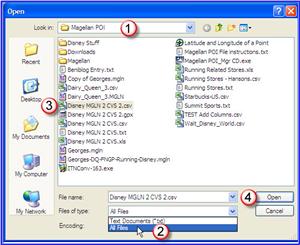 Magellan Maestro 3250 GPS Unit